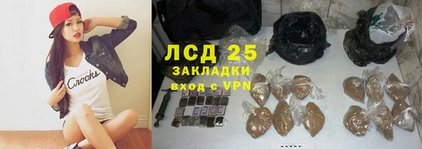мяу мяу мука Дмитриев