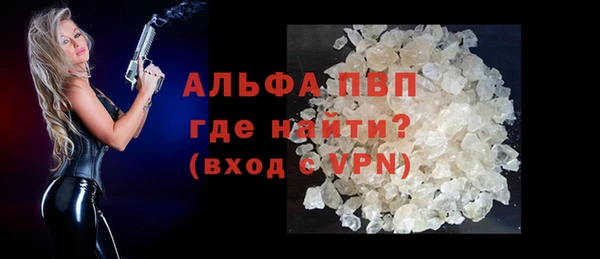 мяу мяу мука Дмитриев