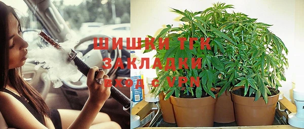 мяу мяу мука Дмитриев