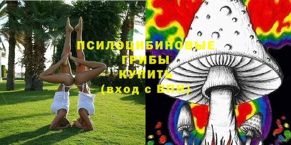 мяу мяу мука Дмитриев